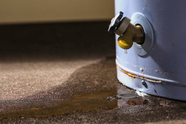 Best Water damage cleanup near me  in Foreman, AR