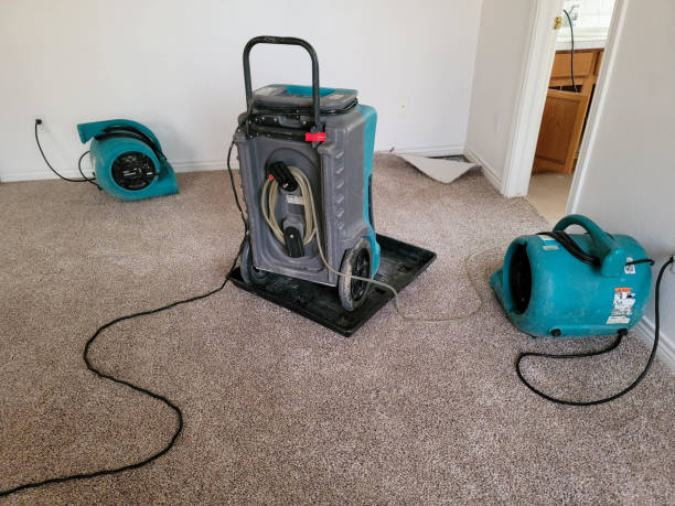 Best Basement water damage restoration  in Foreman, AR