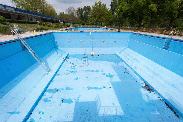 Best Professional water damage repair  in Foreman, AR