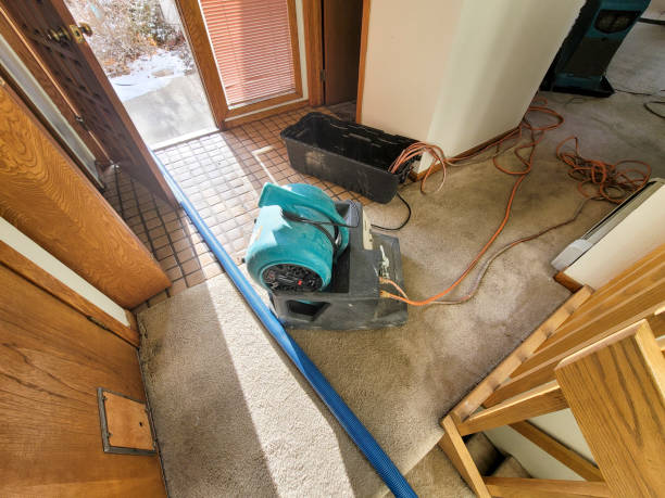 Best Ceiling water damage repair  in Foreman, AR