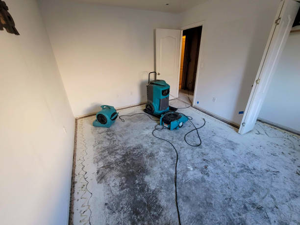 Best Professional water damage repair  in Foreman, AR
