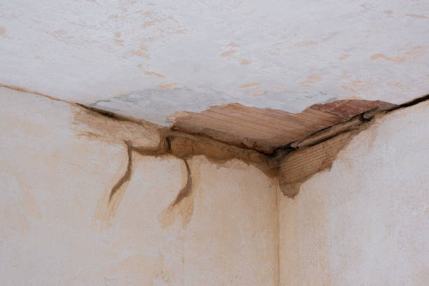 Best Flood damage cleanup  in Foreman, AR