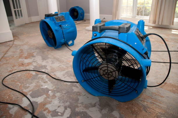  Foreman, AR Water damage restoration Pros