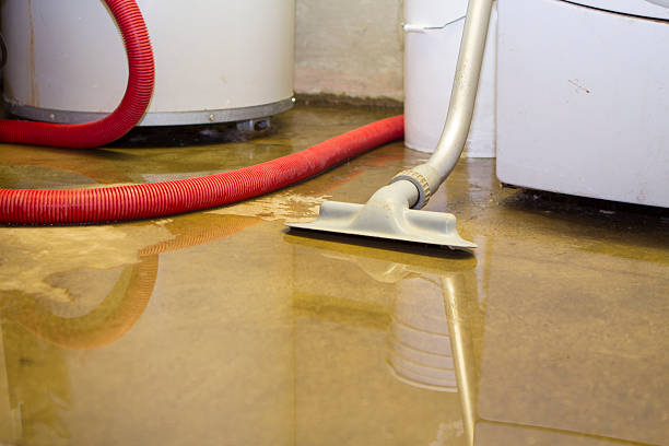 Best Mold removal after water damage  in Foreman, AR