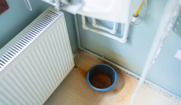 Best Local water damage restoration  in Foreman, AR